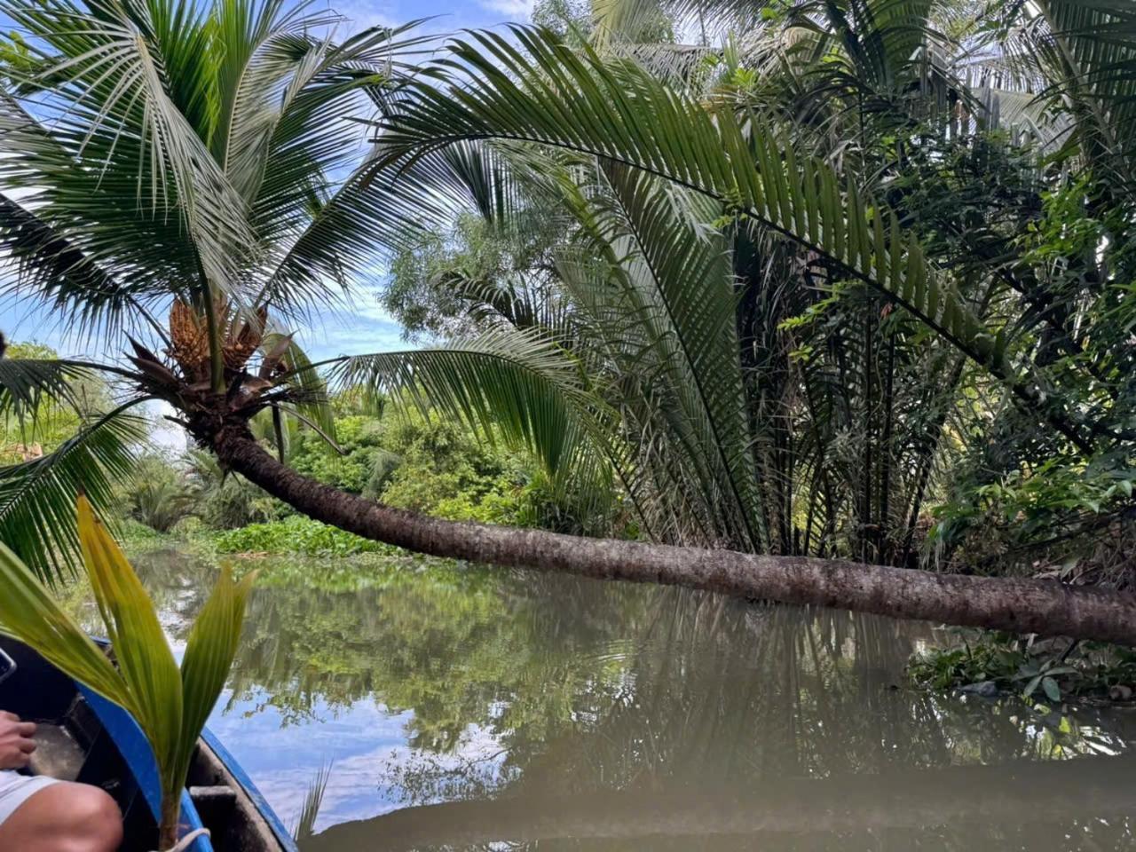 Cai Rang Ben Do Xua Homestay & Coffee المظهر الخارجي الصورة
