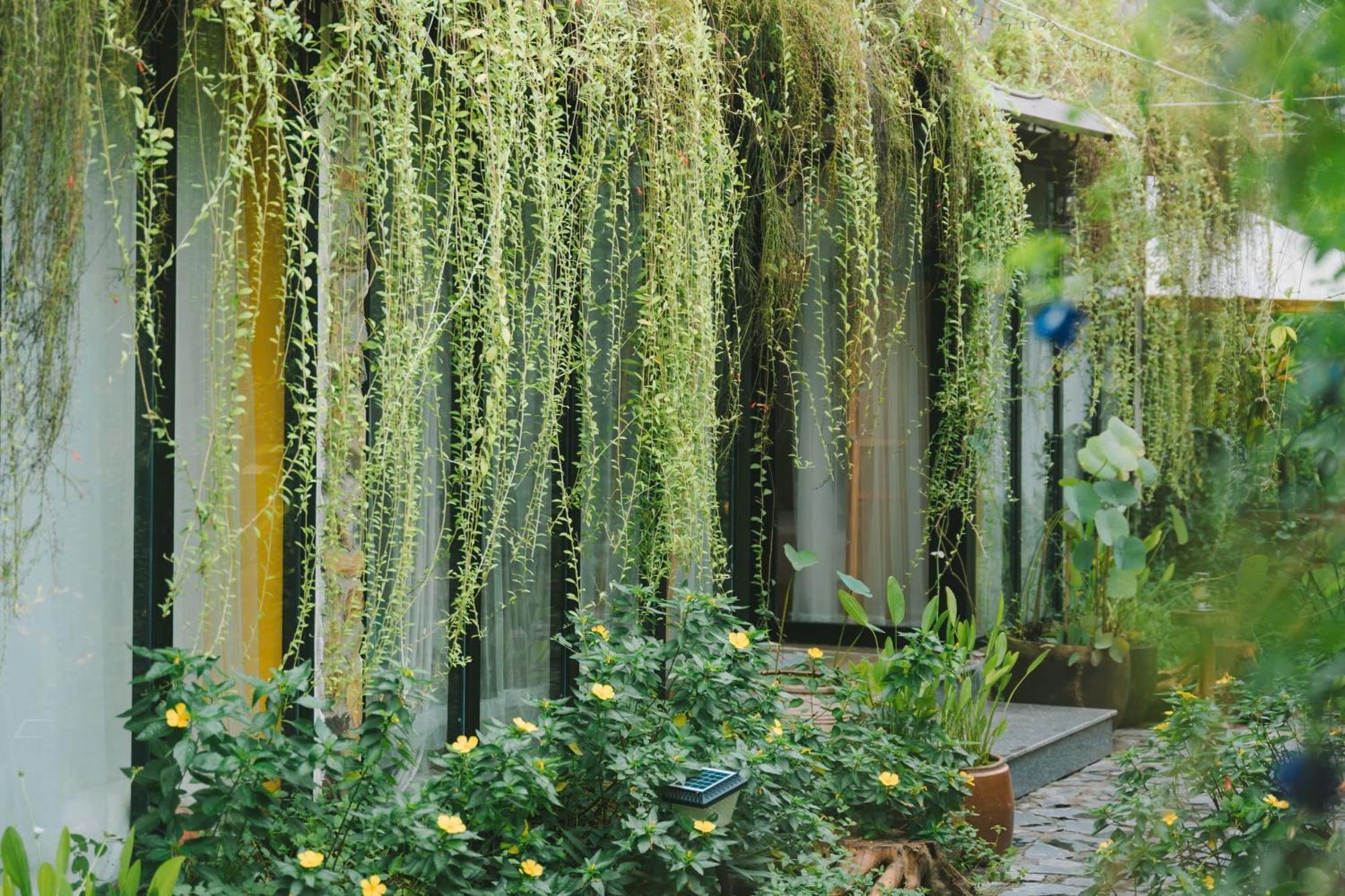 Cai Rang Ben Do Xua Homestay & Coffee المظهر الخارجي الصورة
