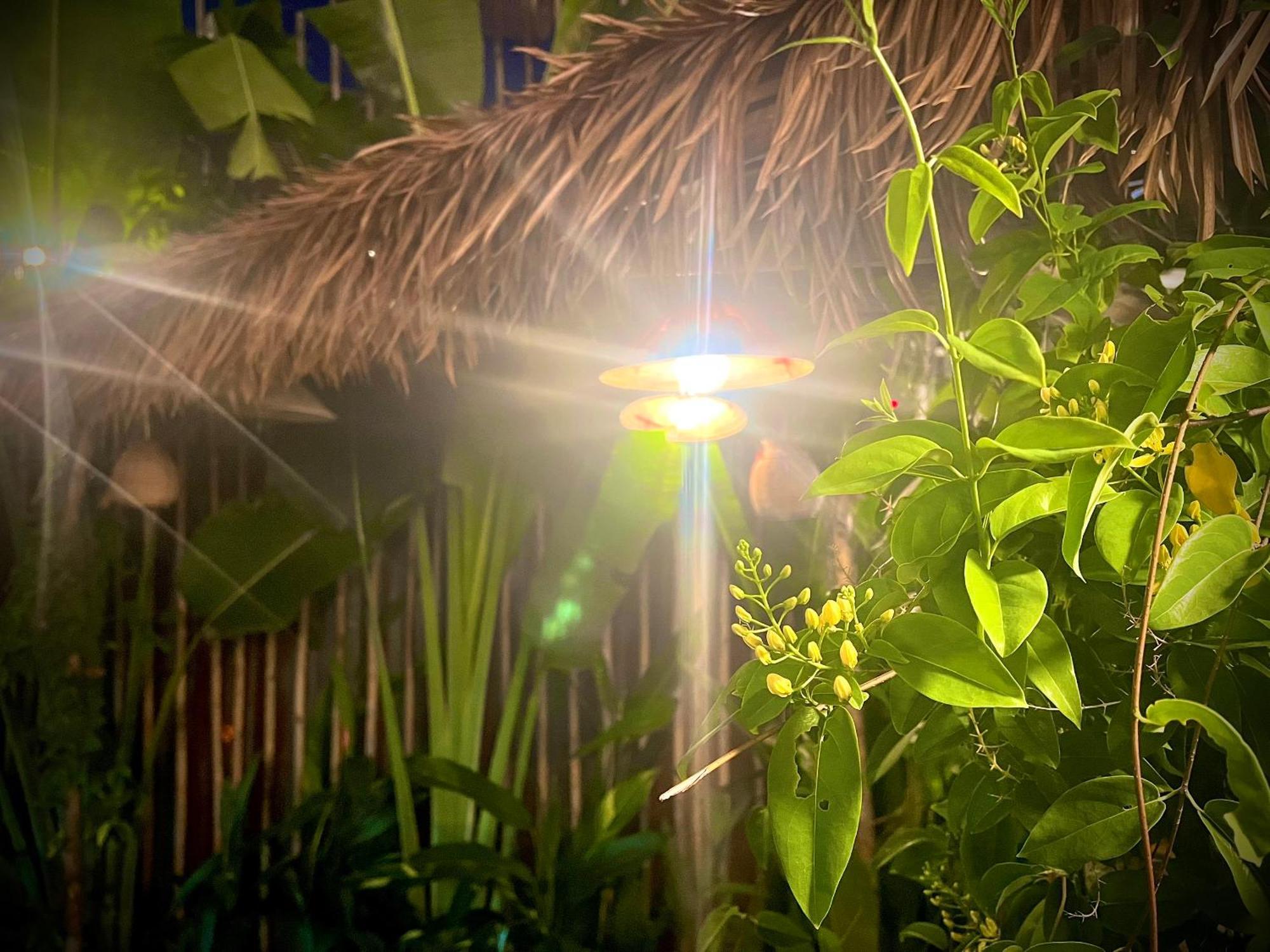 Cai Rang Ben Do Xua Homestay & Coffee المظهر الخارجي الصورة