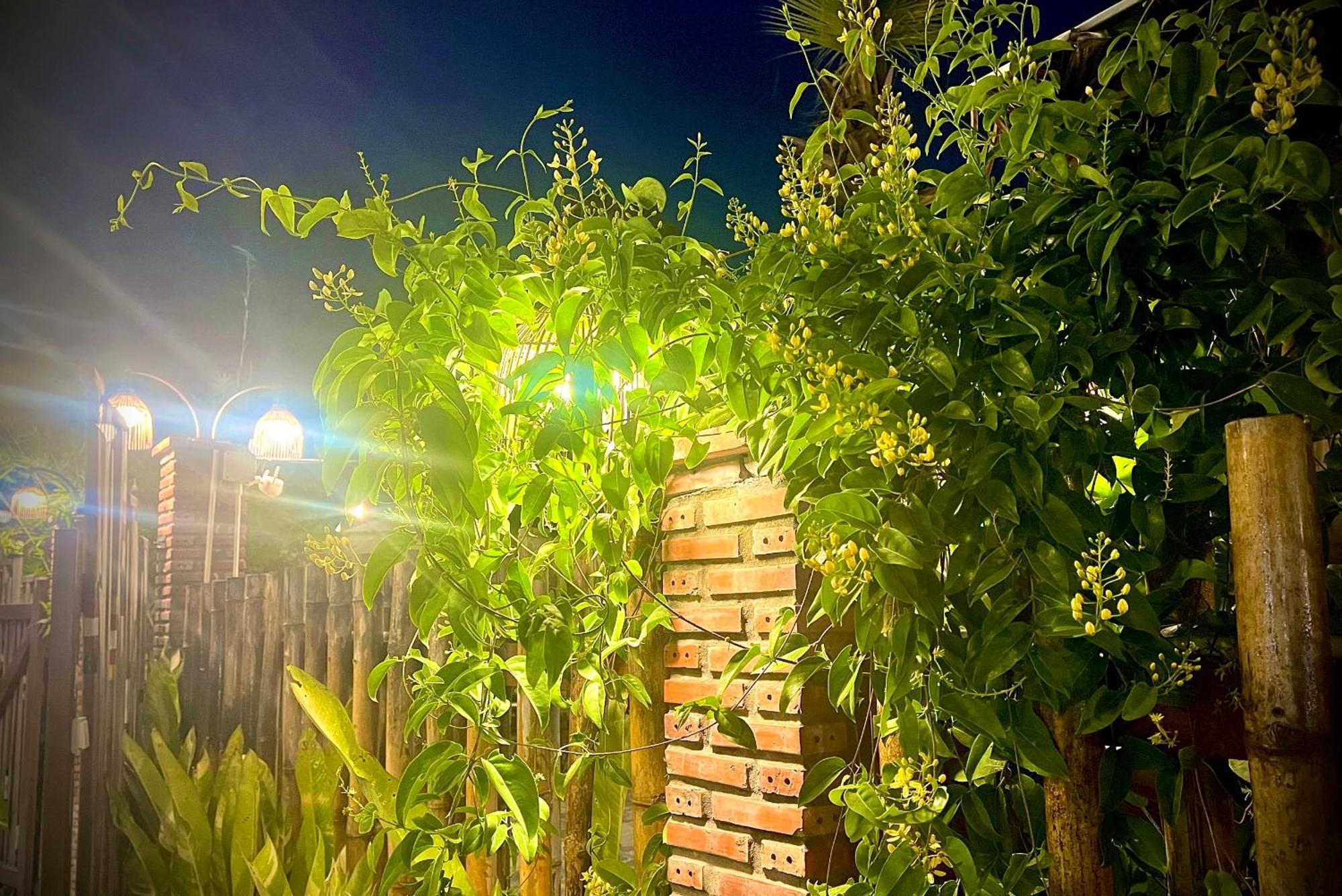 Cai Rang Ben Do Xua Homestay & Coffee المظهر الخارجي الصورة