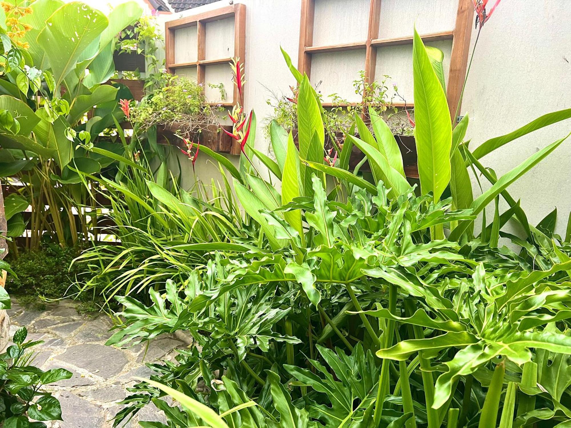 Cai Rang Ben Do Xua Homestay & Coffee المظهر الخارجي الصورة